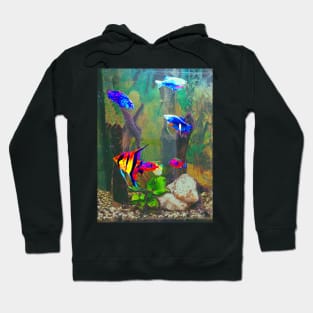 Aquarium Hoodie